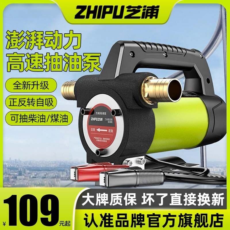 电动抽油泵12V24V正反转小型自吸泵柴油泵加油机设备电动
