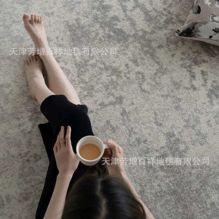 土耳其丙纶客厅地毯高级灰色沙发茶几毯极简现代轻奢满铺卧室毯
