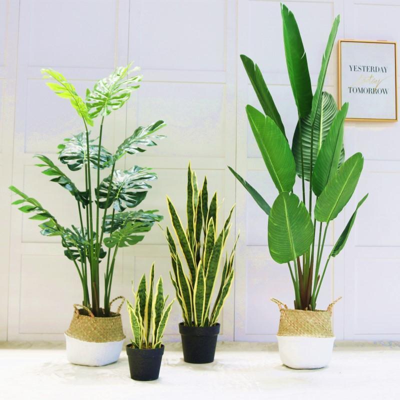 仿真植物虎皮兰盆栽室内客厅大型落地假绿植摆设件金边虎尾兰盆景