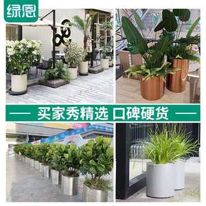 绿恩种植盆室内园艺景观大花钵商业街花桶商场金属花箱