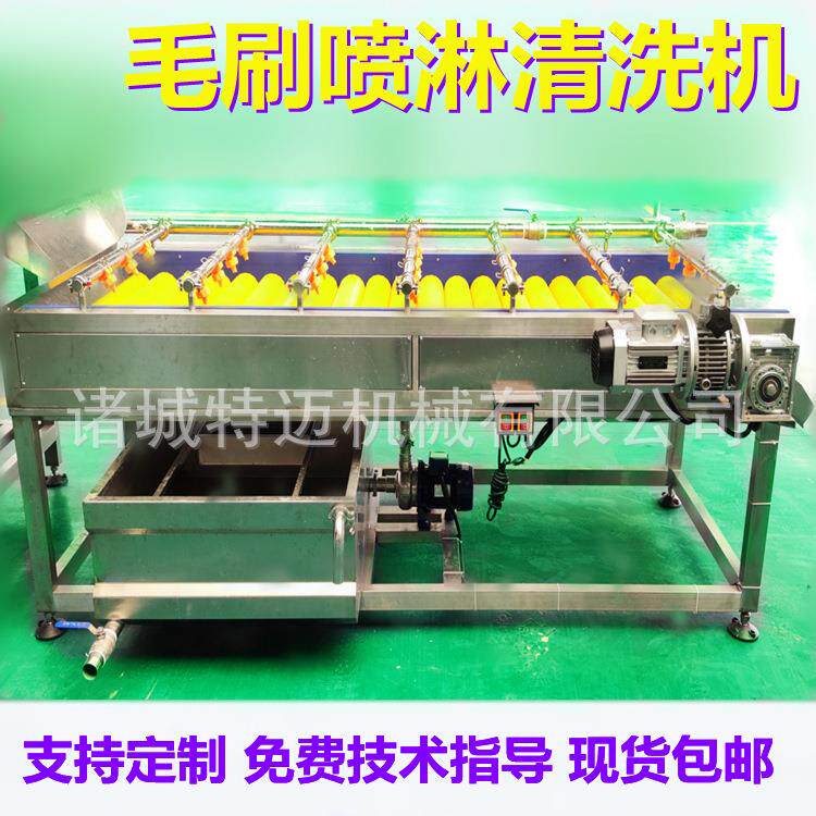 现货平行毛辊清洗机 桃杏子毛刷清洗机 罐头厂用水果清洗去皮设备