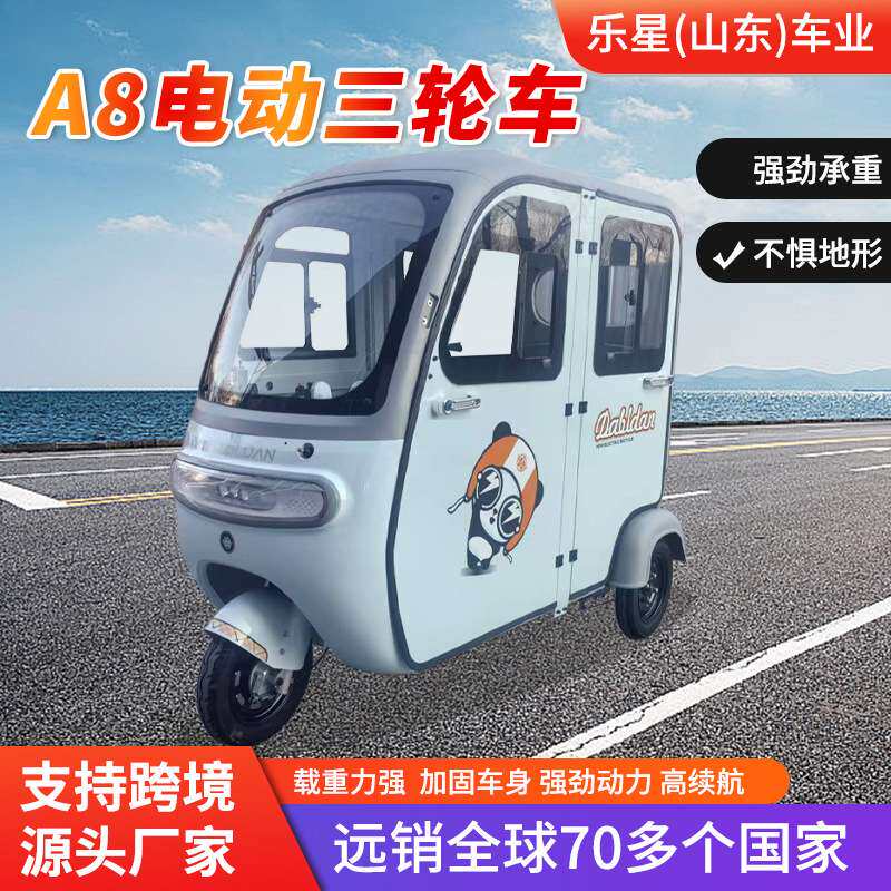 出口休闲电动三轮车全封闭式客货两用接送孩子老年代步三轮车