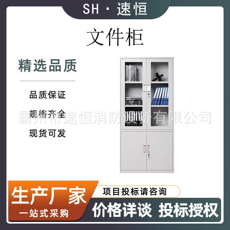 钢制办公文件柜铁皮柜器械资料储物柜带锁档案凭证柜子