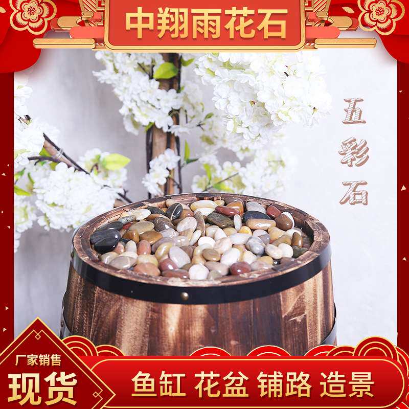 南京鹅卵石雨花石小石子鱼缸花盆多肉装饰盆栽园艺造景五彩石5斤