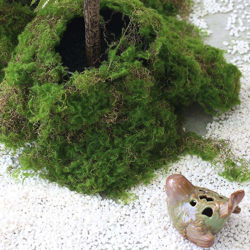 仿真植物造景苔藓假山微景观园林庭院景观盆栽绿植铺面装饰摆件