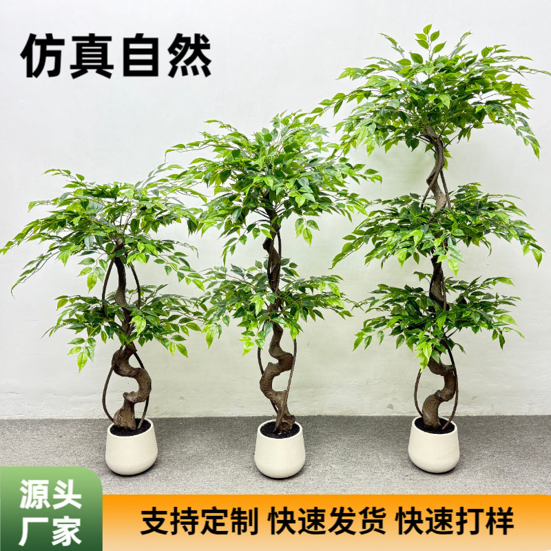 大盆栽绿植仿真小叶榕过江榕客厅开业招财树办公室盆栽异形榕树
