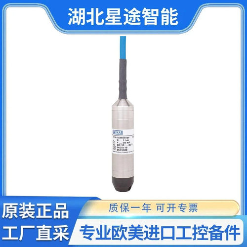 WIKA 7300355 Typ LH-10 高性能潜水式压力变送器