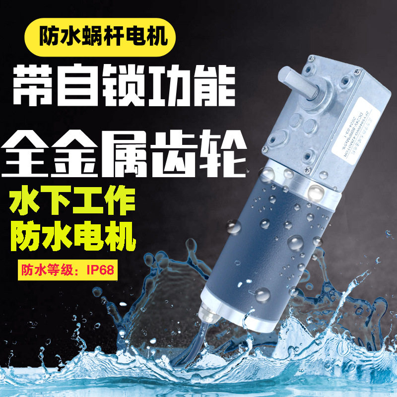 ZFY5840-42防水等级IP68减速电机金属齿轮蜗轮蜗杆防尘潜水电动机