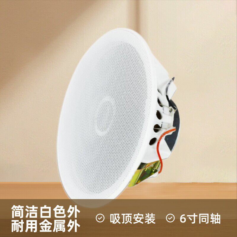 天籁同轴隐形吸顶无源扬声器