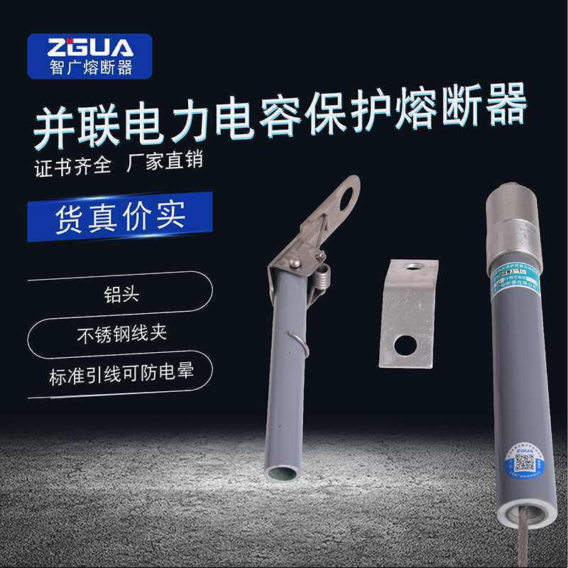 BR2BR8WBRN-10-12KV高压电容器保护熔断器熔保险丝厂直供其他