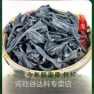 福建霞浦海带头特厚特级干货海带根海带头加厚农户自产自销海带