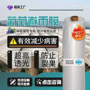 PE农用塑料薄膜 大棚膜葡萄避雨膜塑料膜连拱小棚膜葡萄用棚膜