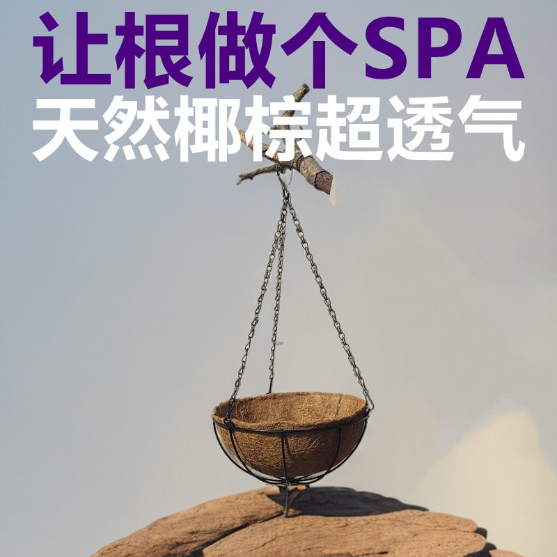 壮根透气椰棕纤维吊篮花盆悬挂式吊兰绿萝多肉植物挂钩垂吊壁挂盆