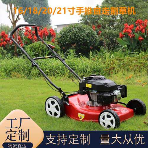 工厂现货汽油草坪割草机 四冲程手推式草坪机 果园草坪除草机