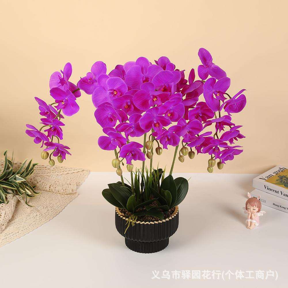 跨境7朵手感蝴蝶兰盆栽餐桌茶几装饰仿真花盆景摄影拍照假花道具