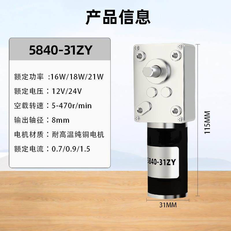5840微型直流减速电机12伏大功率自锁31ZY蜗轮蜗杆有刷电动机24V