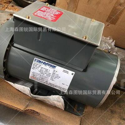 lafert拉法特直流电机AM100L/A4系列