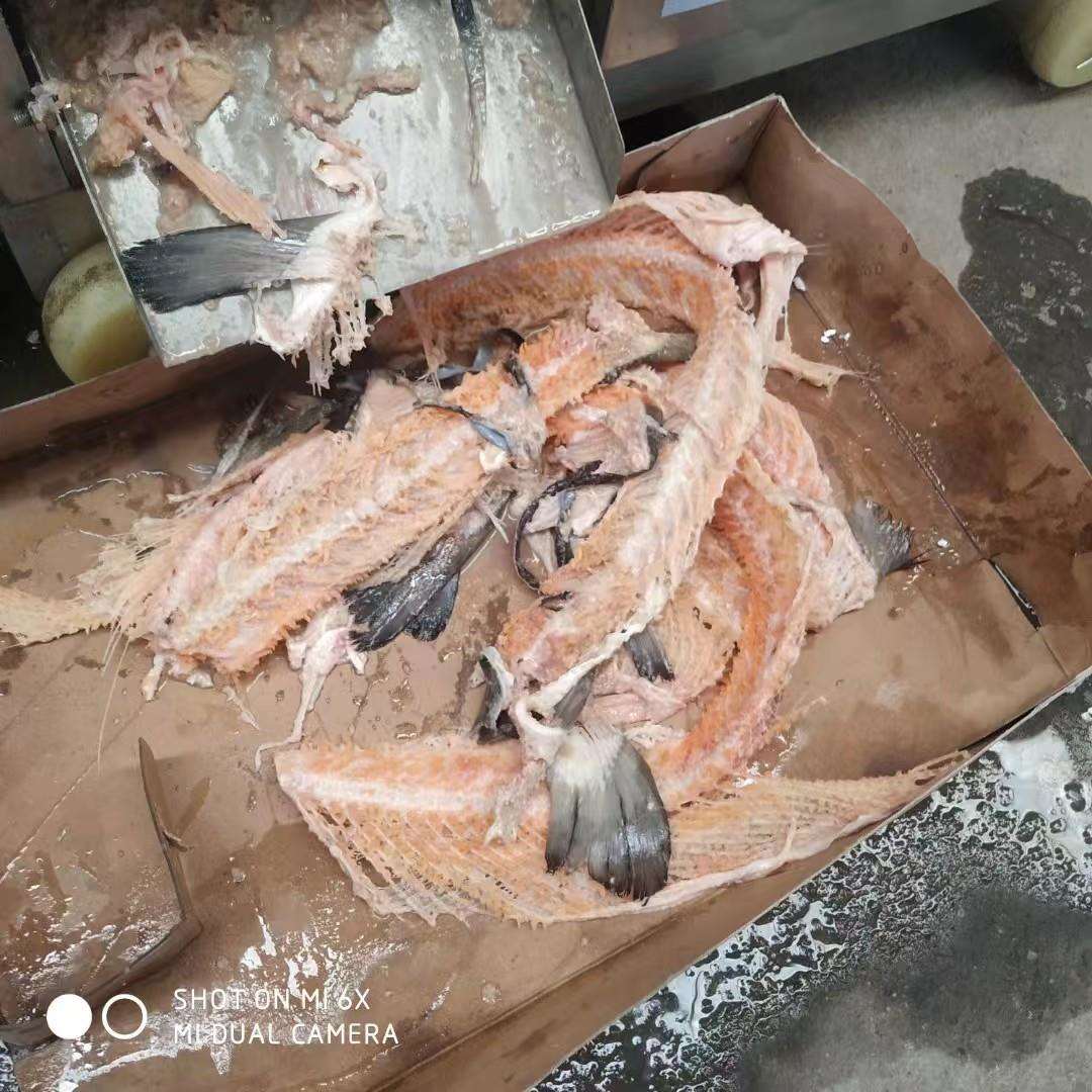 鱼丸加工机器 采集黄花鱼机器 去皮去刺鱼机器 现货供应图片