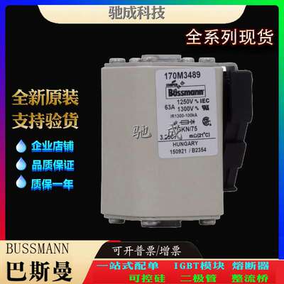 巴斯曼170M3490 170M3491 170M3492 厂家直供 零售 紧凑熔断器