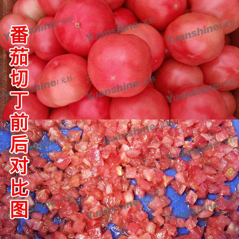 源头食品机械厂家青木瓜切丁机 洋山芋切丁机 酸木瓜切丁机