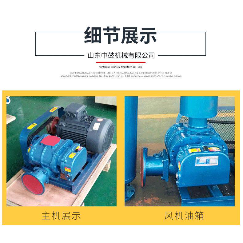 新罗茨鼓ZZR50风机价格销 低噪音 水产养殖污水处理用P