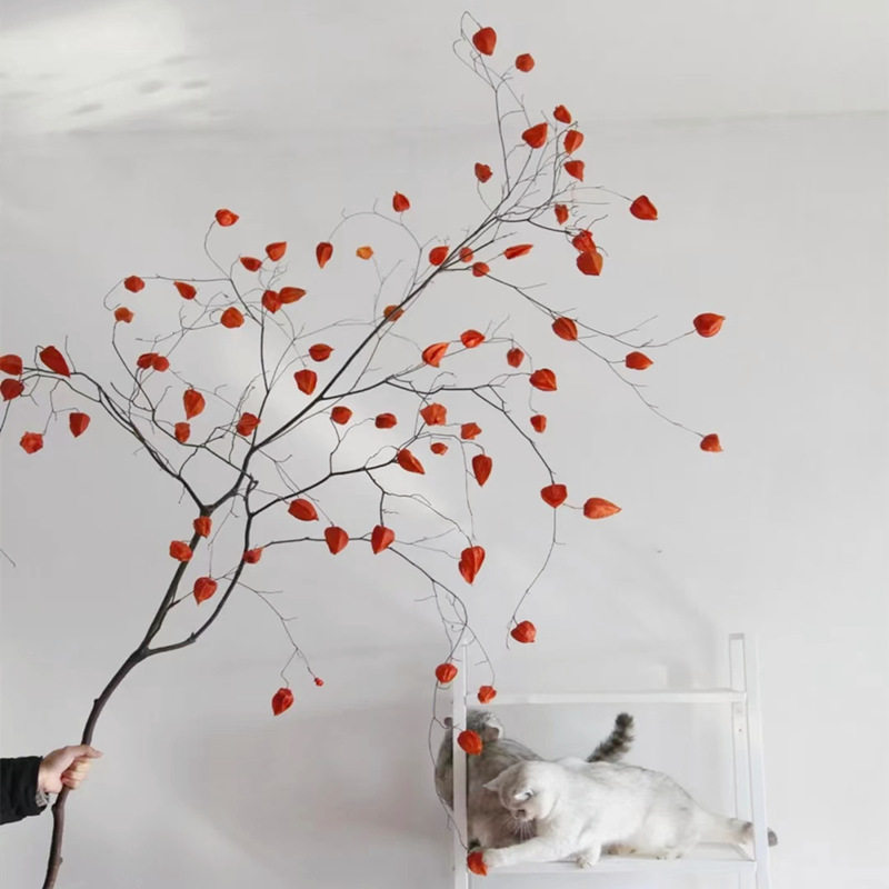 干花灯笼果假花玻璃罩插花果干花干枝真枝假叶摆件浆果灯