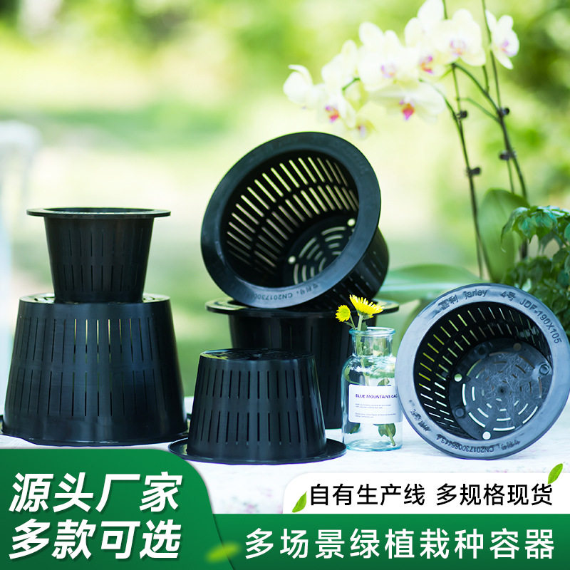 加深加厚定植篮PP塑料镂空固根篮水培无土栽培