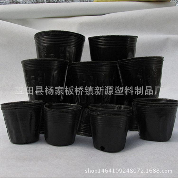 厂家供应营养杯塑料营养钵批发营养袋异形育苗杯育苗袋育苗盆