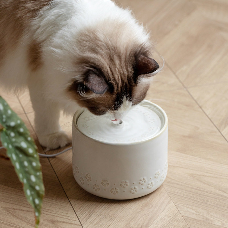 猫咪陶瓷自动循环过滤专用饮水机宠物用品猫碗高脚饮水用具喂水器