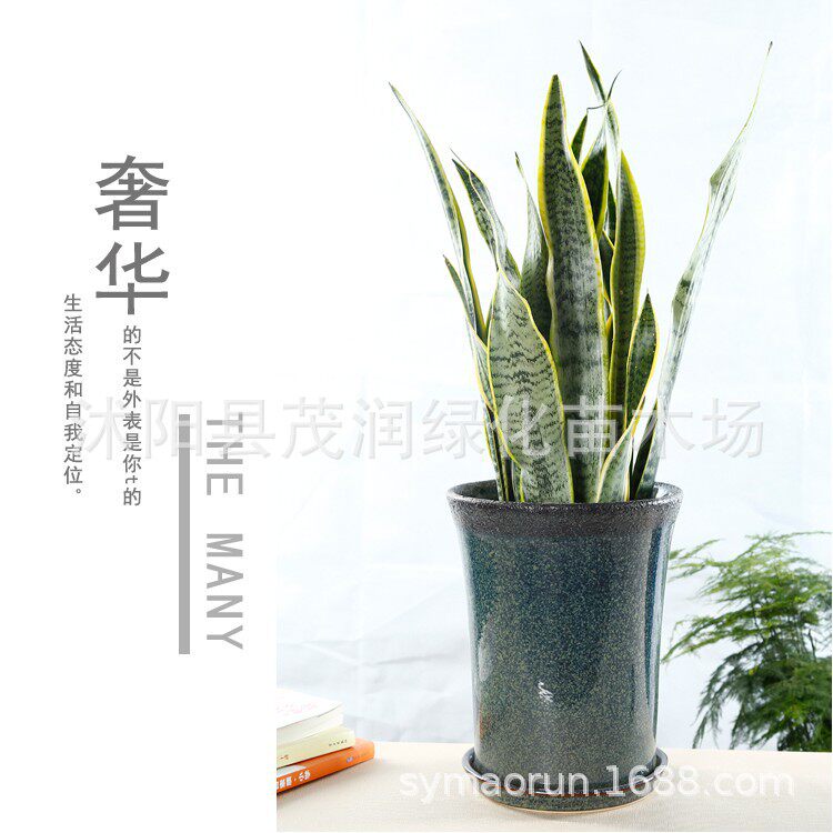 陶瓷花盆大号室内绿植物盆栽凤尾竹用简约陶瓷盆景盆带陶瓷托盘