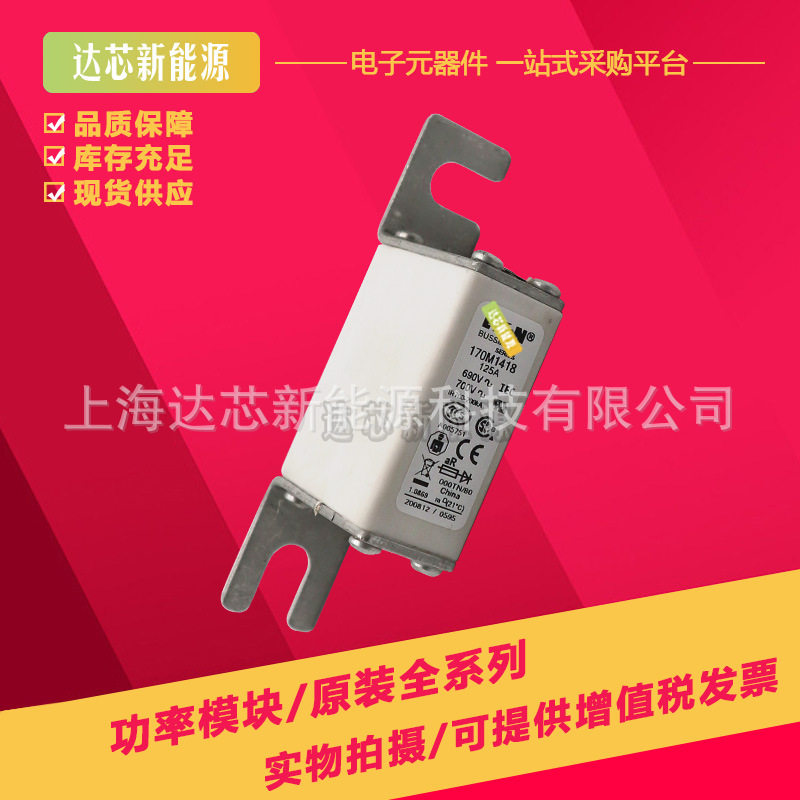 170M2608170M2609170M2610170M2611170M2612巴斯曼熔断器熔芯