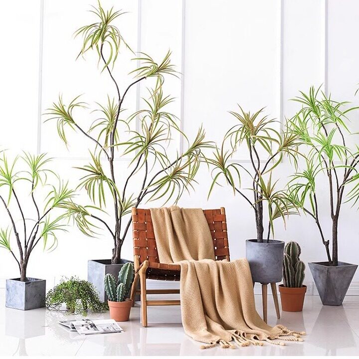 大型仿真植物盆栽千年木龙血树商场酒店橱窗假绿植装饰摆件摆设