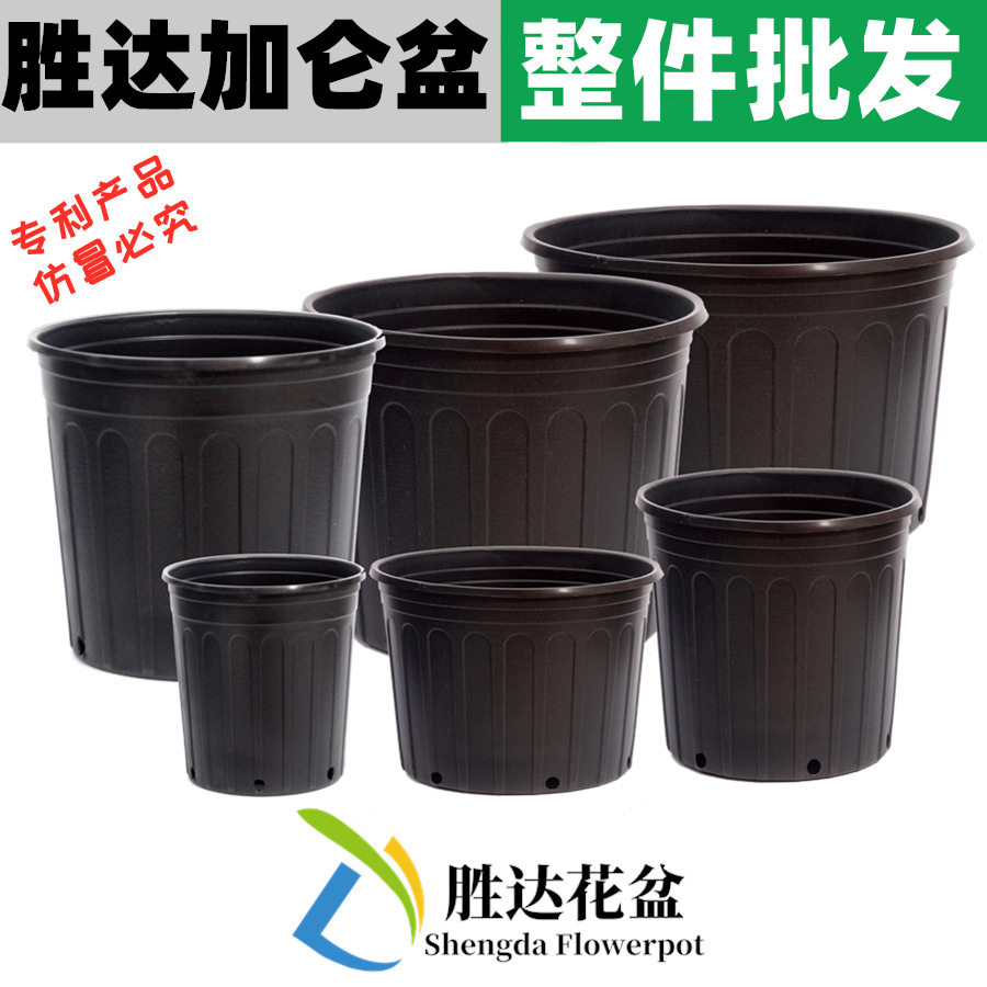 加仑盆轻质耐用育苗控根侧孔花盆基地苗木花卉树脂塑料花盆批发