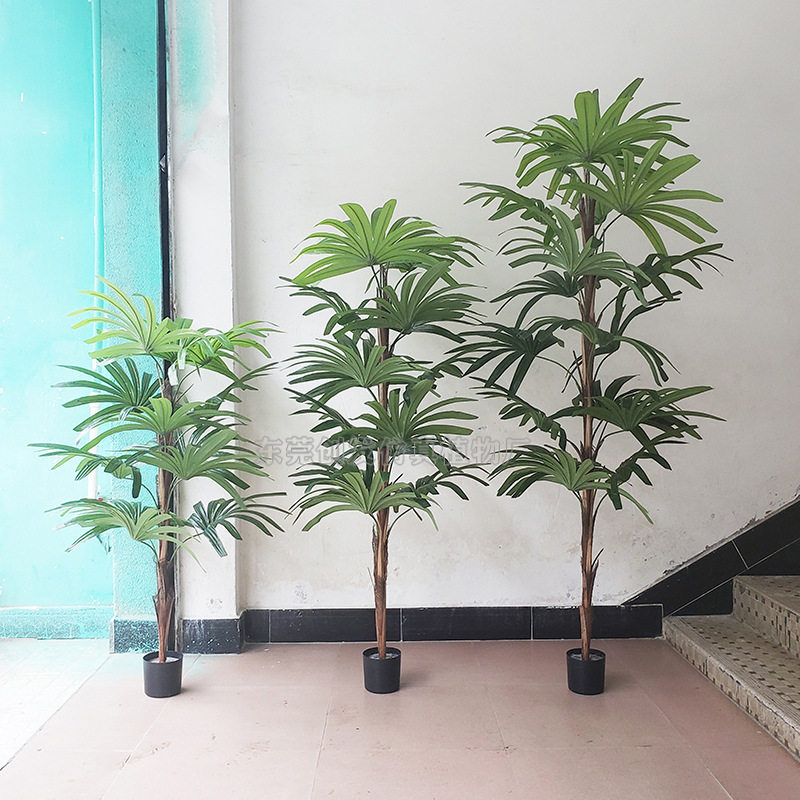 厂家供应仿真盆栽绿植小葵树 过胶叶五指葵 家居办公室摆放棕竹葵