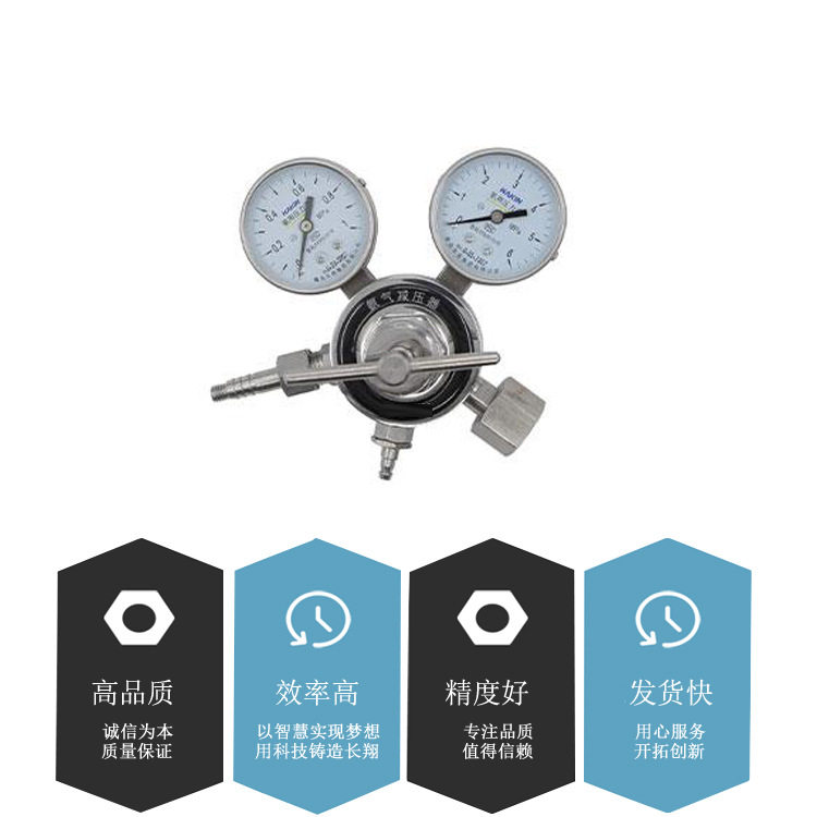 氨用减压器YQA-401氨用减压器压力仪表小型用设备厂家加工