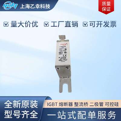 巴斯曼熔断器  170M1387 170M1395 170M1408 170M1409 170M1410