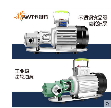 齿轮泵自吸不锈钢抽油泵高粘度机油变压器柴油食用油220V/380V电