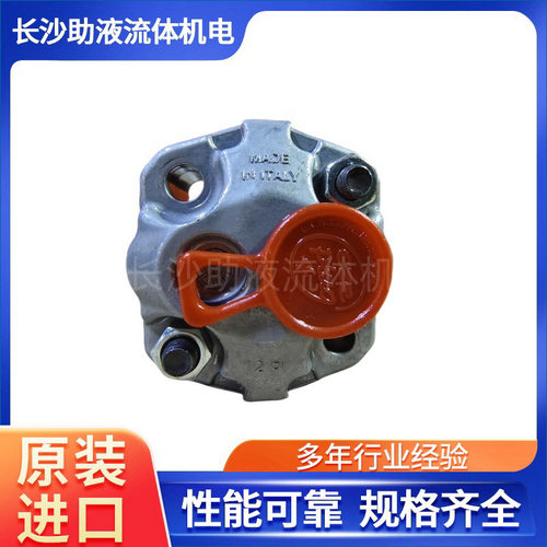 Marzocchi微型齿轮泵动力单元泵动力单元齿轮泵EK1P S 2 G 3/8NPT