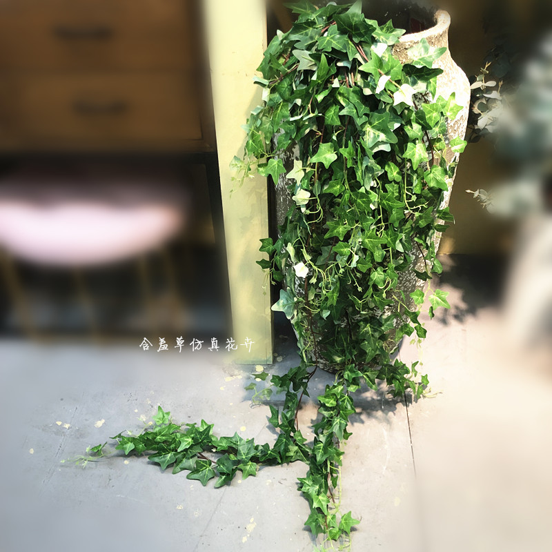 仿真常春藤壁挂地瓜叶加长把束爬藤仿真绿植装饰缠绕藤蔓绿色挂壁
