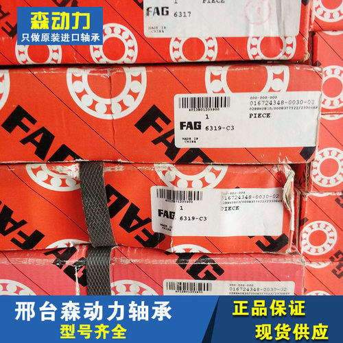 FAG德国进口6319-C3轴承