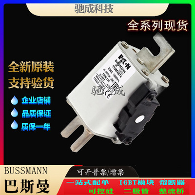 巴斯曼170M4974 170M4980 170M4981 现货直销批发价优 快速保险丝