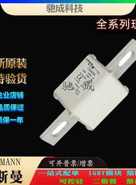 巴斯曼170M4696 170M4697 170M4699 现货直销 零售 快熔保险丝