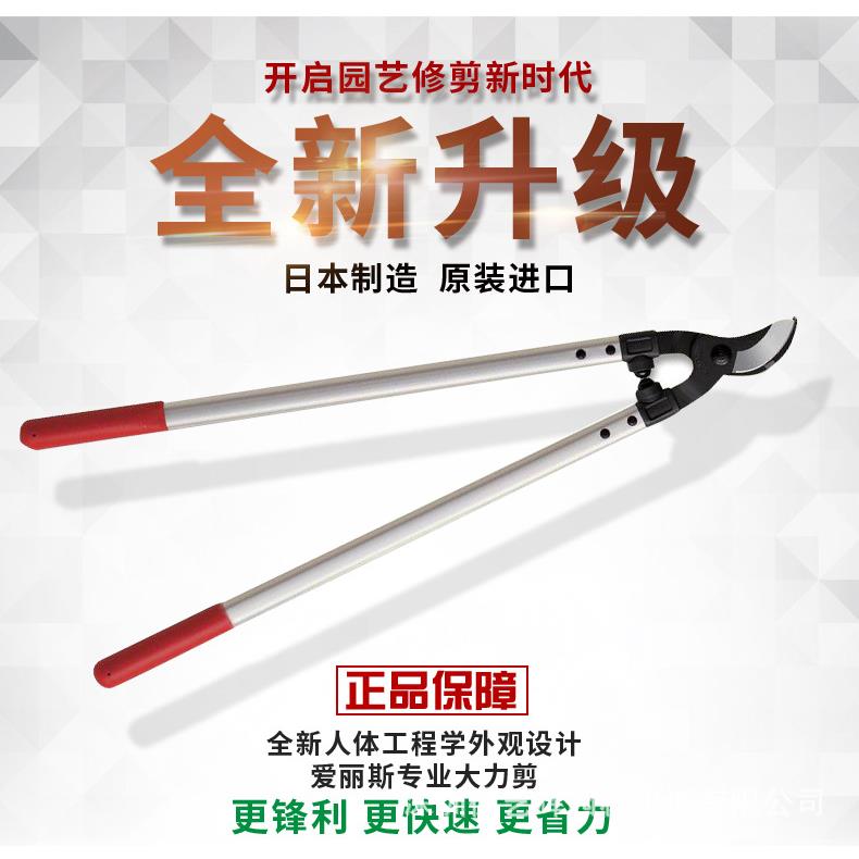 爱丽斯(ARS)大力剪粗枝剪修枝剪果树剪园艺工具整枝剪园林工具