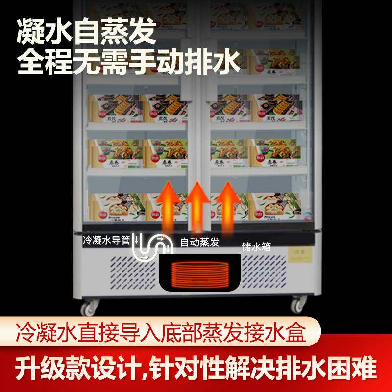 立式商用展示冷冻柜预制菜冰柜急冻肉类冻品双门冷柜榴莲低温冰柜