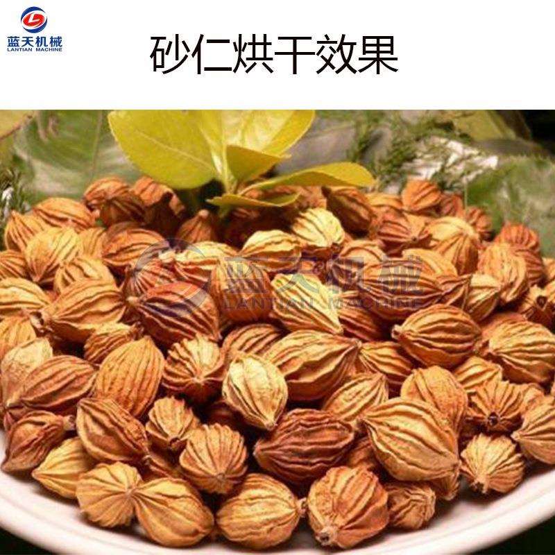 空气能砂仁烘干机 春砂仁香砂仁烘干房 热风循环草果除湿烘干设备