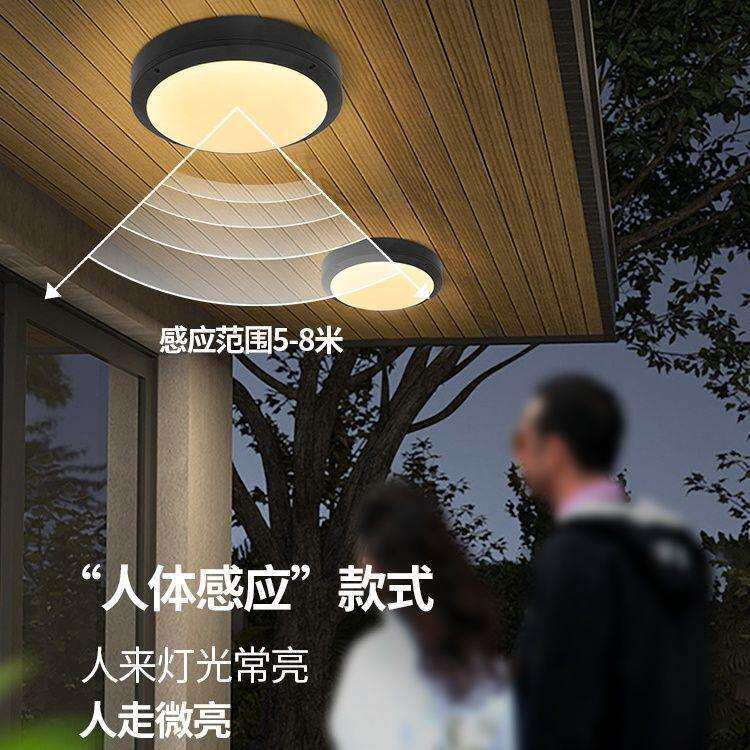 现代室外吸顶灯防水阳台灯防潮防虫过道灯户外圆形走廊大门灯led