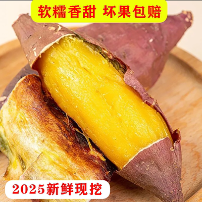 正宗小香薯地瓜新鲜沙地现挖红薯番薯粉糯香甜红黄心糖心山芋蜜薯