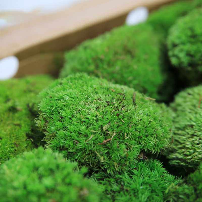 现货永生青苔苔藓仿真石头鱼缸造景石人造微景观植毛球工艺品