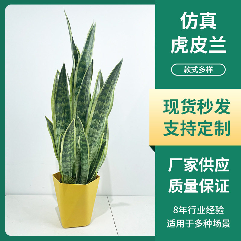 北欧仿真绿植金边虎皮兰盆栽室内客厅造景花卉道具假绿植落地装饰