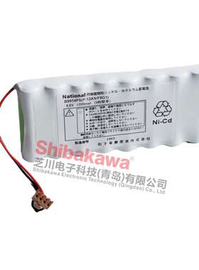 B9914PS(P-12AS/F8G1) 横河 YOKOGAWA CA100(255701-U2) 充电电池